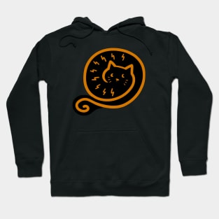 A cat curl up. Hoodie